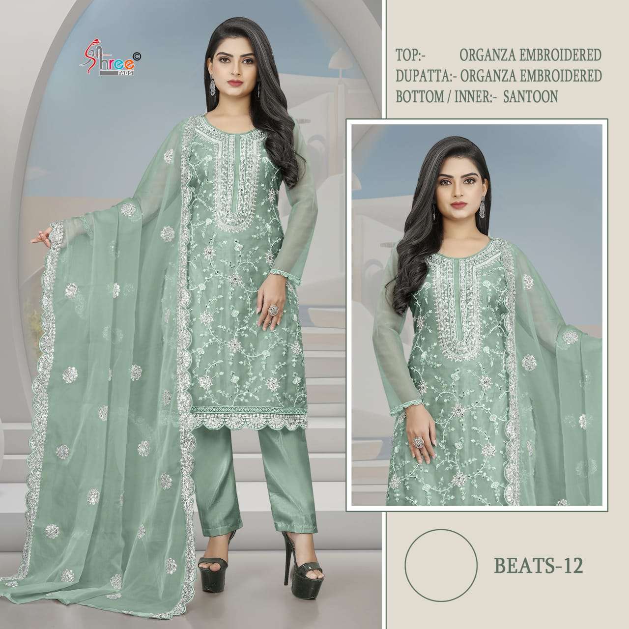Beats Pakistani Organza Embroidered Suit